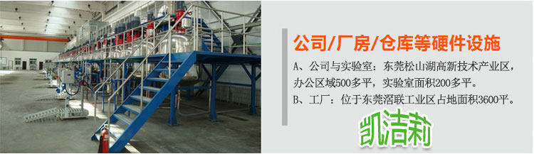 凱潔莉洗衣粉洗滌劑生產(chǎn)設(shè)備及車間